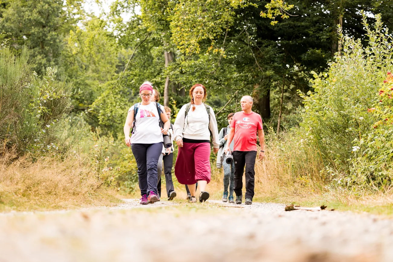 Marche en groupe dans la nature des Hautes Fagnes